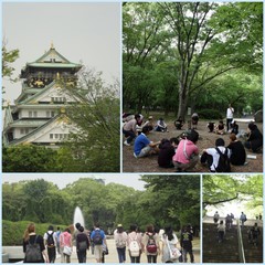 ハイキングin大阪城公園2012（マイスペ）