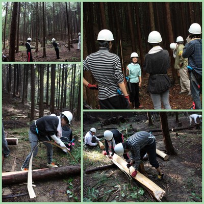 12森林体験（HP写真）.jpg