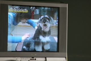 20110704｢動物関係｣ 003.jpg