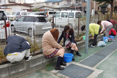 １１月２８日園芸