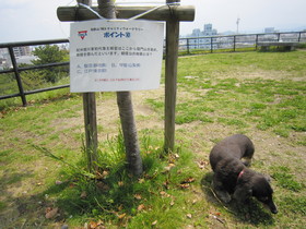 IMG_0732.JPG