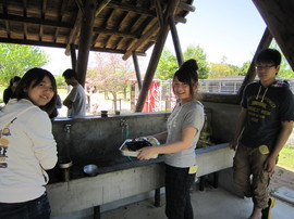 IMG_2526.JPG