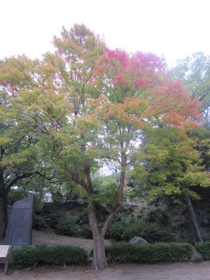 IMG_3029.JPGのサムネール画像
