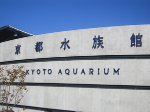 IMG_3037.JPGのサムネール画像