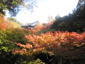 IMG_3055.JPGのサムネール画像