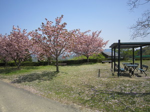 IMG_3311.JPGのサムネール画像