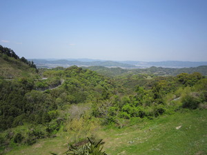 IMG_3316.JPGのサムネール画像