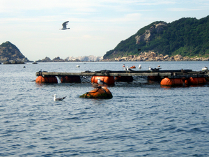 IMGP1905a.jpgのサムネール画像