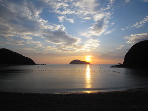 IMG_3398.JPGのサムネール画像