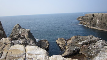 IMG_3768.JPGのサムネール画像