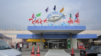 IMG_3770.JPGのサムネール画像