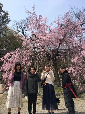 春休み②～和歌山城でお花見～